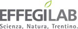 Effegilab Logo